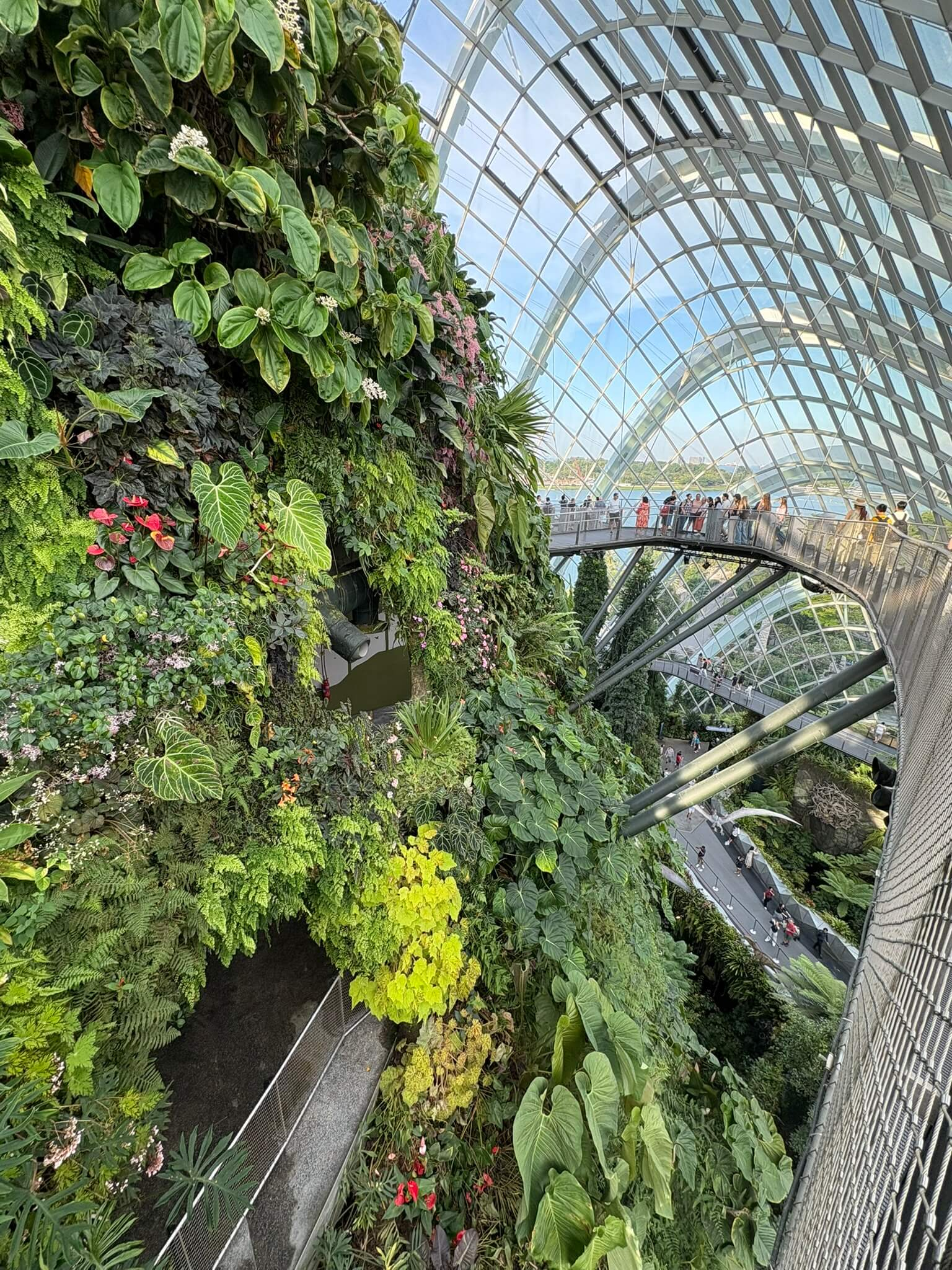 Singapore’s Gardens by the Bay in a wheelchair