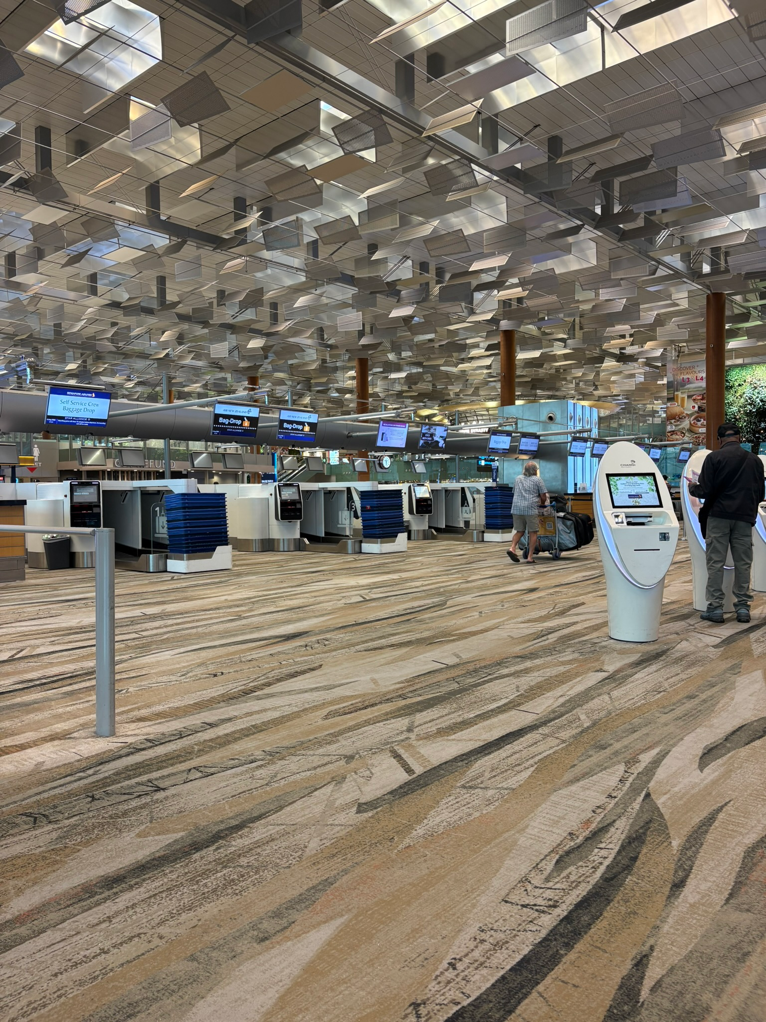 Changi airport Singapore: what you need to know before visiting (in a wheelchair)